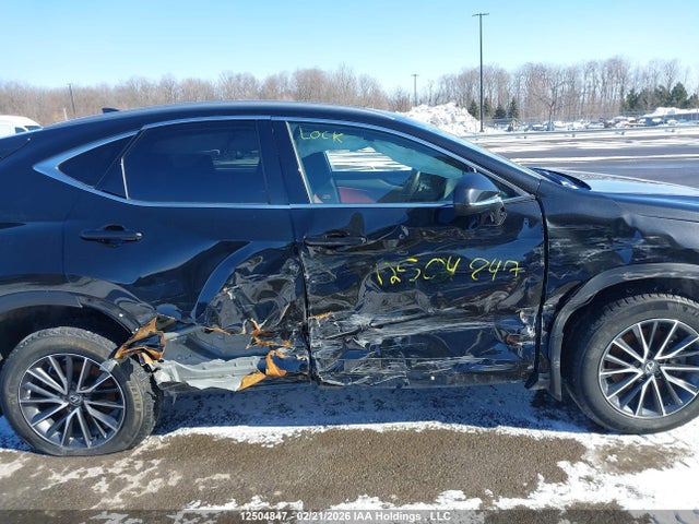 Lexus Nx 350h 350h 2024 2T2GKCEZ9RC027469 Image 6
