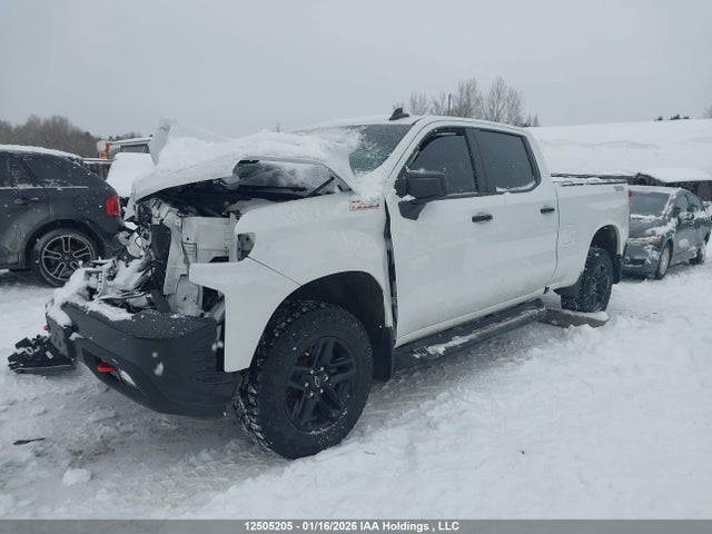 1GCPYFED1LZ260137 Chevrolet Silverado 1500 Lt Trail Boss