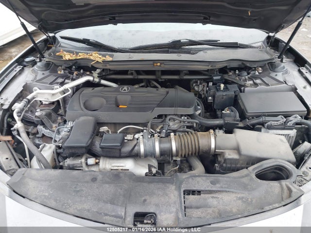 19UUB6F55MA801610 Acura TLX