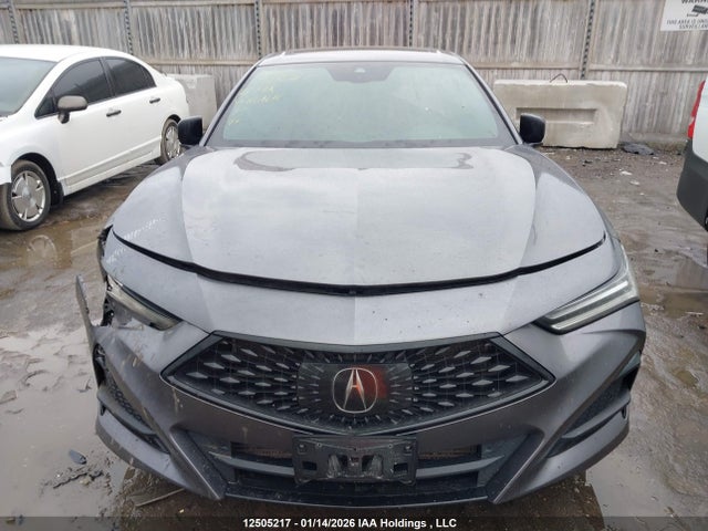 19UUB6F55MA801610 Acura TLX