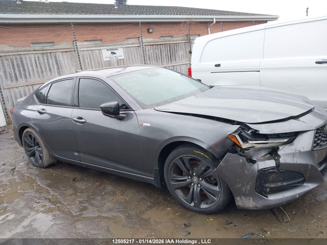 19UUB6F55MA801610 Acura TLX