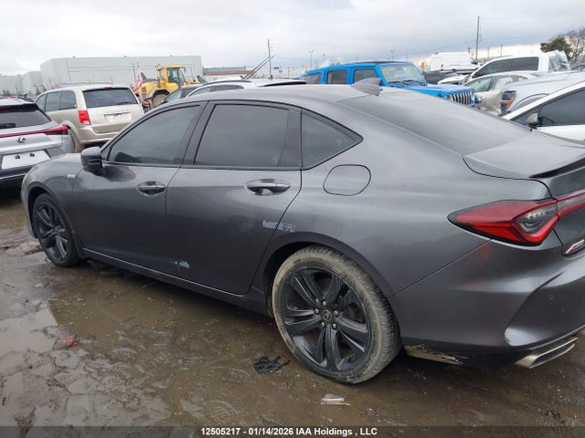 19UUB6F55MA801610 Acura TLX