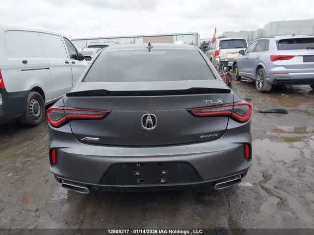 19UUB6F55MA801610 Acura TLX