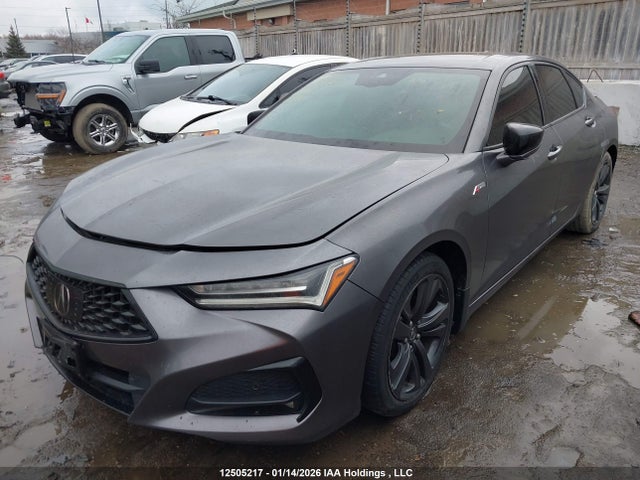 19UUB6F55MA801610 Acura TLX