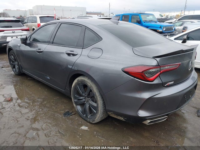 19UUB6F55MA801610 Acura TLX
