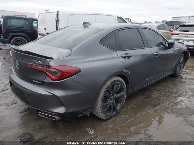 19UUB6F55MA801610 Acura TLX