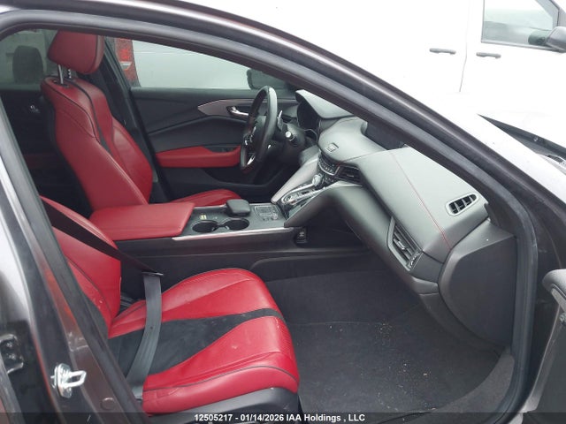 19UUB6F55MA801610 Acura TLX