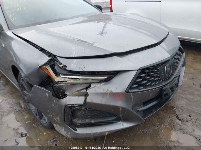19UUB6F55MA801610 Acura TLX