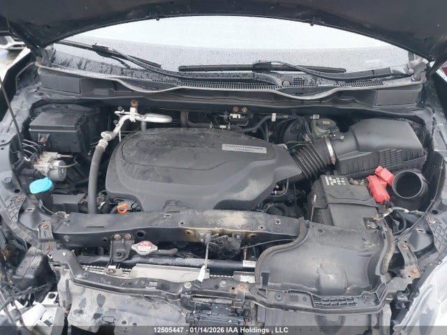 5FNRL6H24JB507865 Honda ODYSSEY LX