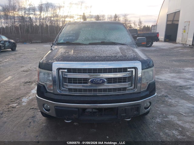 Aukcja sprzedaży 2014 Ford F-150 Xlt, vin: 1FTFW1ET4EFC36303, numer aukcji: 12505570
