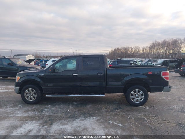 Aukcja sprzedaży 2014 Ford F-150 Xlt, vin: 1FTFW1ET4EFC36303, numer aukcji: 12505570