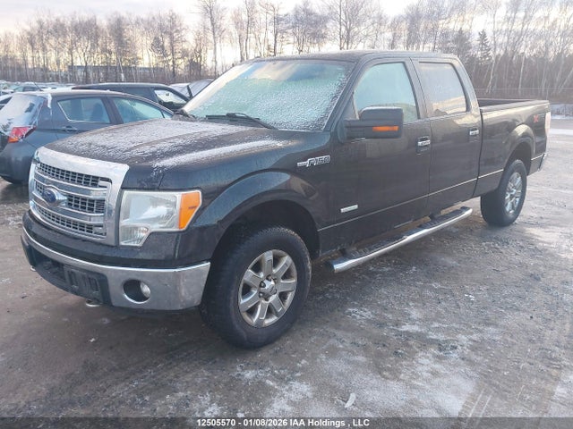 Aukcja sprzedaży 2014 Ford F-150 Xlt, vin: 1FTFW1ET4EFC36303, numer aukcji: 12505570