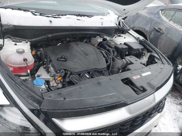 Продаж на аукціоні авто 2024 Kia Sportage, vin: KNDPVCDF6R7238312, номер лоту: 12505615