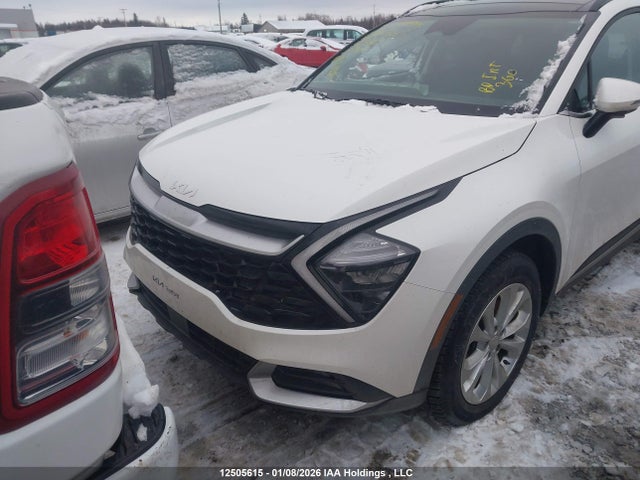 Продаж на аукціоні авто 2024 Kia Sportage, vin: KNDPVCDF6R7238312, номер лоту: 12505615