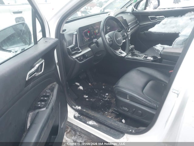 Продаж на аукціоні авто 2024 Kia Sportage, vin: KNDPVCDF6R7238312, номер лоту: 12505615