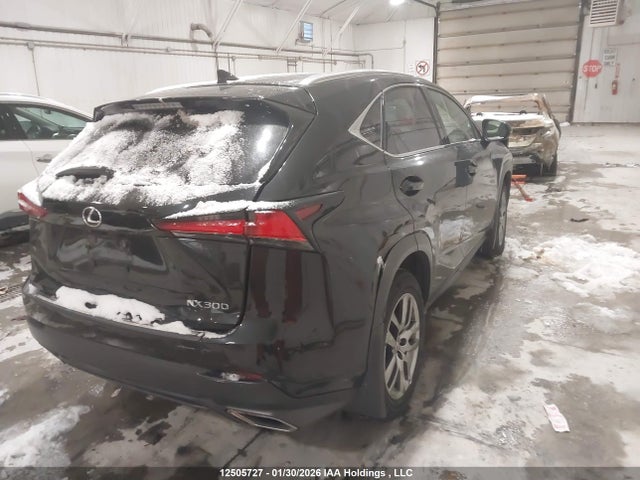 JTJBARBZ5K2197466 Lexus Nx 300 Base/300 F Sport