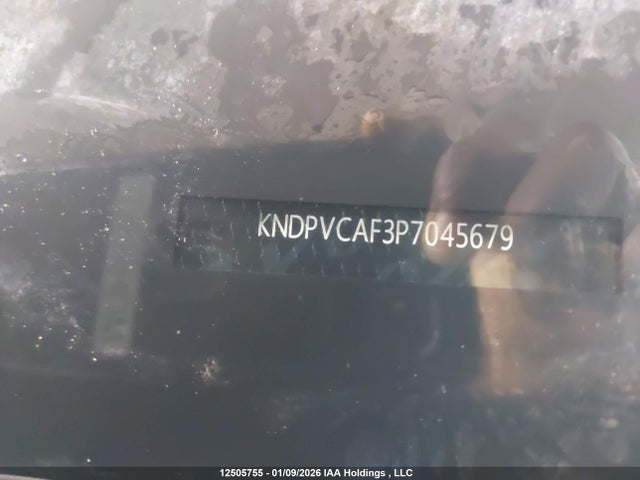 Продажа на аукционе авто 2023 Kia Sportage, vin: KNDPVCAF3P7045679, номер лота: 12505755