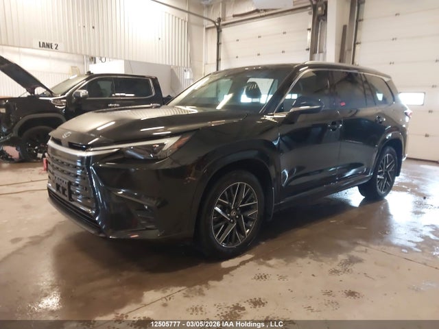 12505777 :رقم المزاد ، 5TDAAAB63RS009813 vin ، 2024 Lexus Tx 350 مزاد بيع