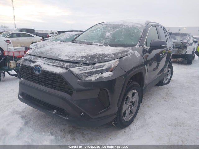 2T3RWRFV4RW235538 Toyota Rav4 Hybrid Xle