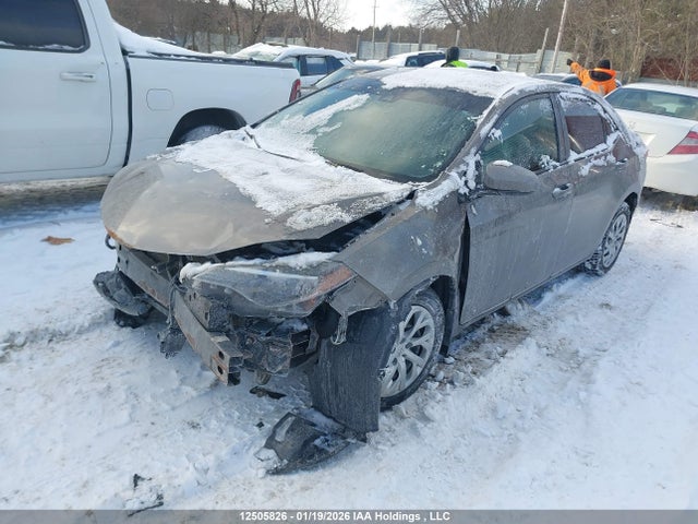 Aukcja sprzedaży 2019 Toyota Corolla L/le/xle/se/xse, vin: 2T1BURHE4KC237570, numer aukcji: 12505826