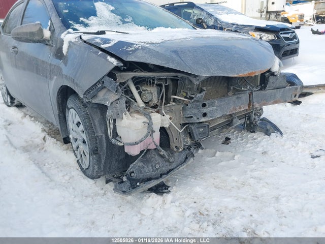 Aukcja sprzedaży 2019 Toyota Corolla L/le/xle/se/xse, vin: 2T1BURHE4KC237570, numer aukcji: 12505826