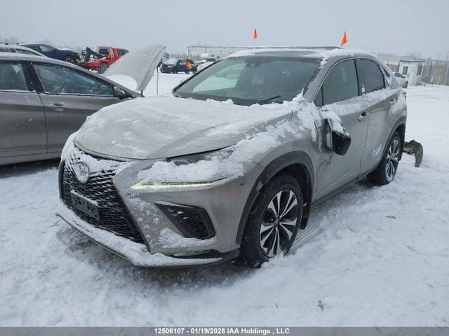 JTJBARBZ5J2173361 Lexus Nx 300/base/f Sport