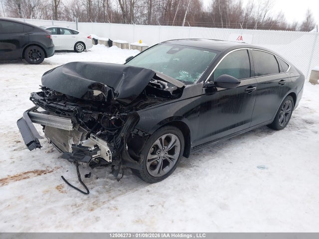 1HGCY1F30PA801806 Honda ACCORD EX