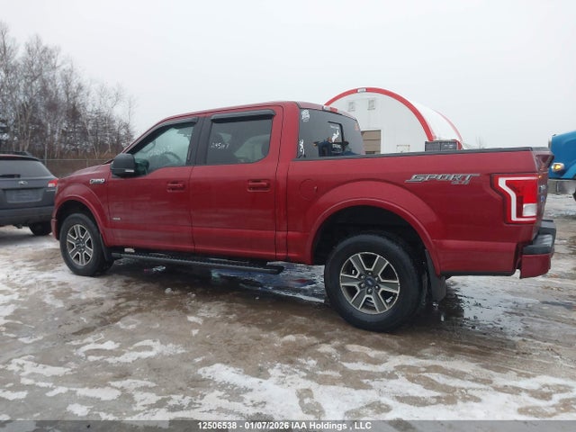 1FTEW1EGXFKE90427 Ford F150 Supercrew