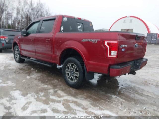 1FTEW1EGXFKE90427 Ford F150 Supercrew