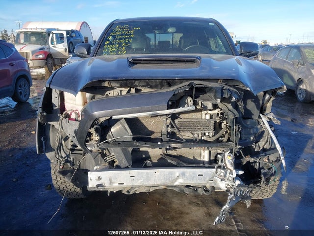 5TFDZ5BN6JX030884 Toyota Tacoma Dbl Cab/sr5/trd Sport/or
