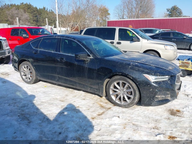 19UUB6F38MA801051 Acura TLX