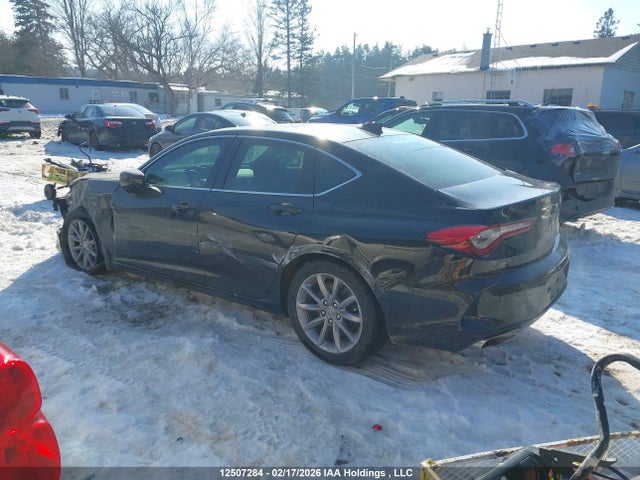 19UUB6F38MA801051 Acura TLX