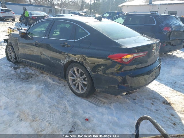 19UUB6F38MA801051 Acura TLX