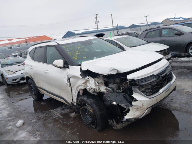KIA Seltos 2024 KNDERCAA6R7575020 Image 13