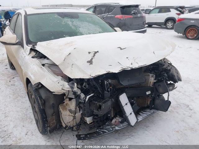 KMHLN4DJ1SU163854 Hyundai Elantra Limited