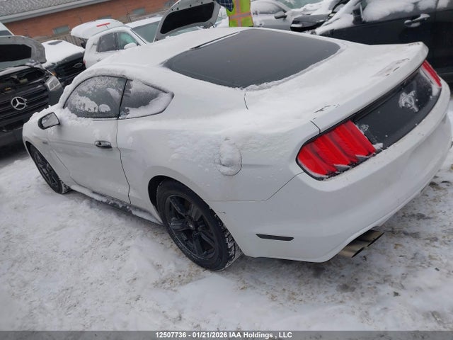 Ford Mustang V6 2015 1FA6P8AM2F5384371 Image 3