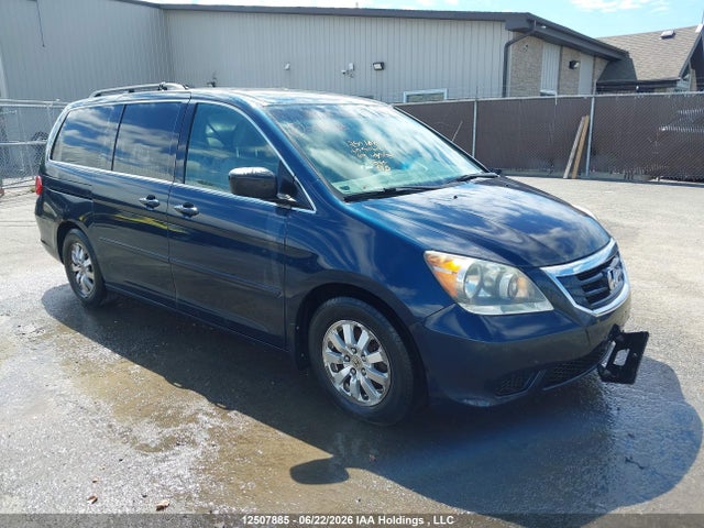 Продаж на аукціоні авто 2009 Honda Odyssey Ex-l, vin: 5FNRL38649B505062, номер лоту: 12507885