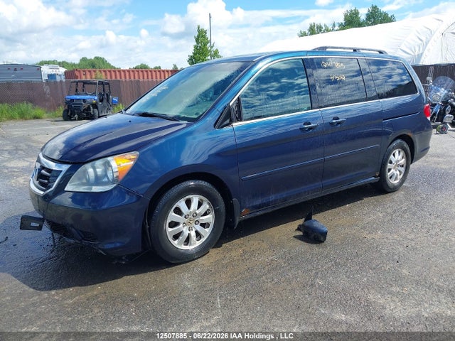 Продаж на аукціоні авто 2009 Honda Odyssey Ex-l, vin: 5FNRL38649B505062, номер лоту: 12507885