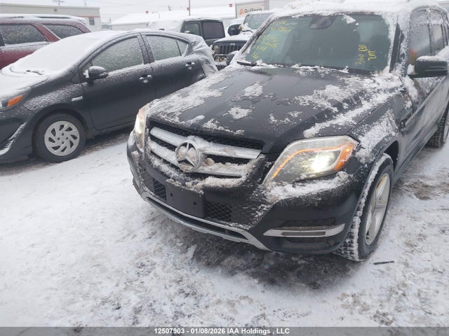 WDCGG0EB2FG385236 Mercedes-Benz Glk 250 Bluetec