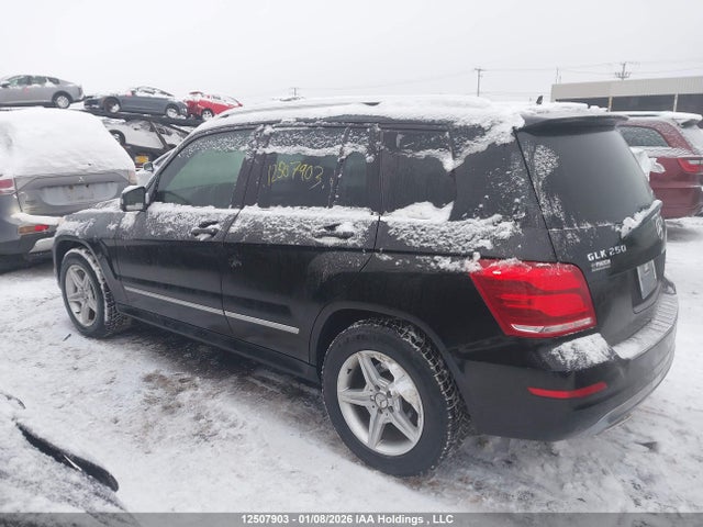 WDCGG0EB2FG385236 Mercedes-Benz Glk 250 Bluetec
