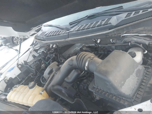 1FTEW1EF4HKD28464 Ford F-150 Xlt