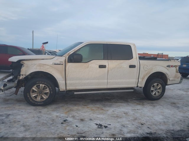 1FTEW1EF4HKD28464 Ford F-150 Xlt