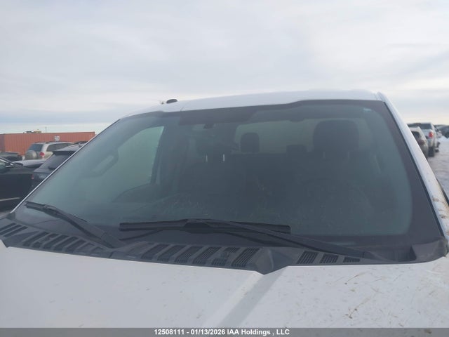 1FTEW1EF4HKD28464 Ford F-150 Xlt
