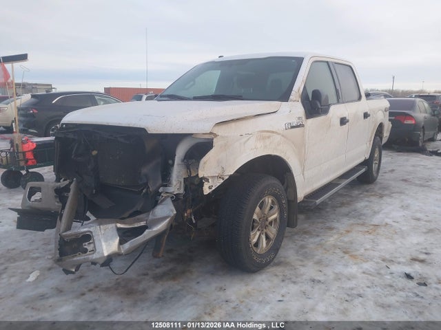 1FTEW1EF4HKD28464 Ford F-150 Xlt