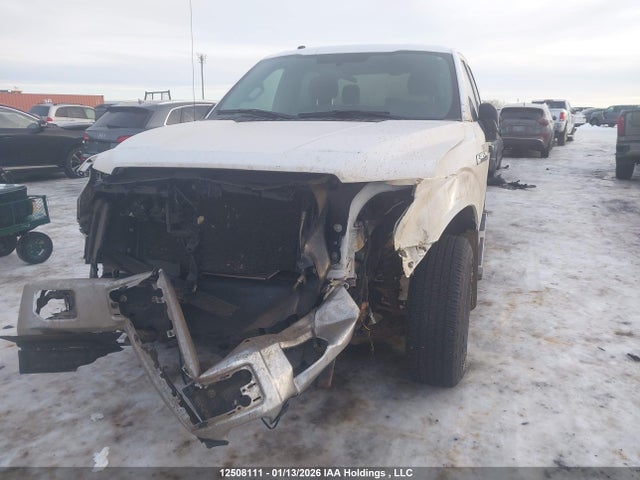1FTEW1EF4HKD28464 Ford F-150 Xlt
