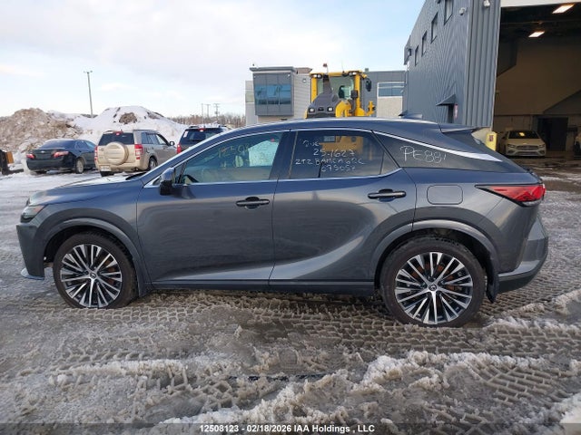 Продажа на аукционе авто 2024 Lexus Rx 350, vin: 2T2BAMCA6RC075057, номер лота: 12508123