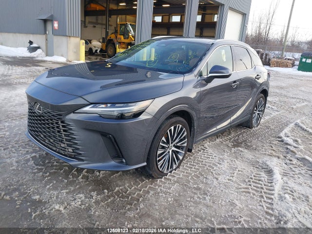 Продажа на аукционе авто 2024 Lexus Rx 350, vin: 2T2BAMCA6RC075057, номер лота: 12508123