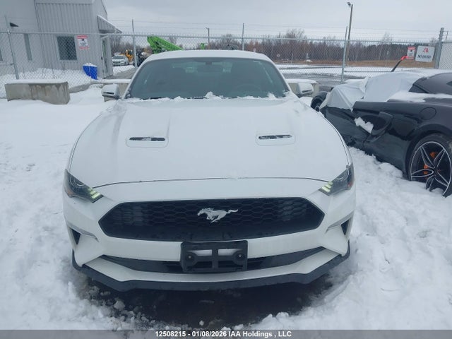 1FA6P8TH6J5149920 Ford Mustang