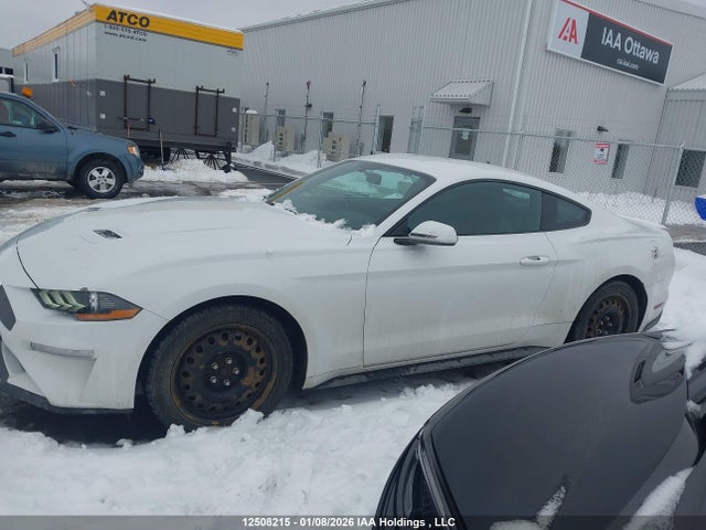 1FA6P8TH6J5149920 Ford Mustang