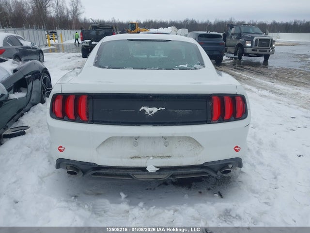1FA6P8TH6J5149920 Ford Mustang
